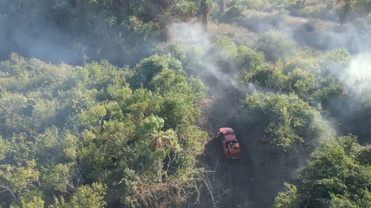 Imagem de compartilhamento para o artigo Com trabalho preventivo, bases no Pantanal atuam no combate aos focos de incêndio em MS da MS Todo dia